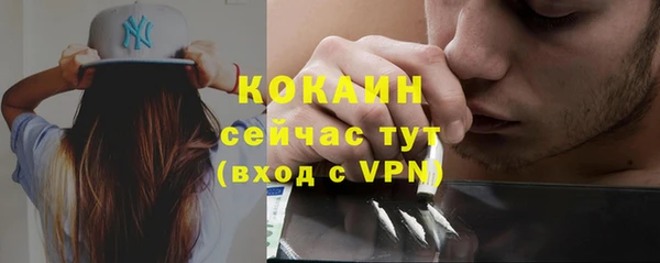 мет Новозыбков