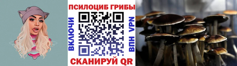 Псилоцибиновые грибы Psilocybine cubensis  Томск 
